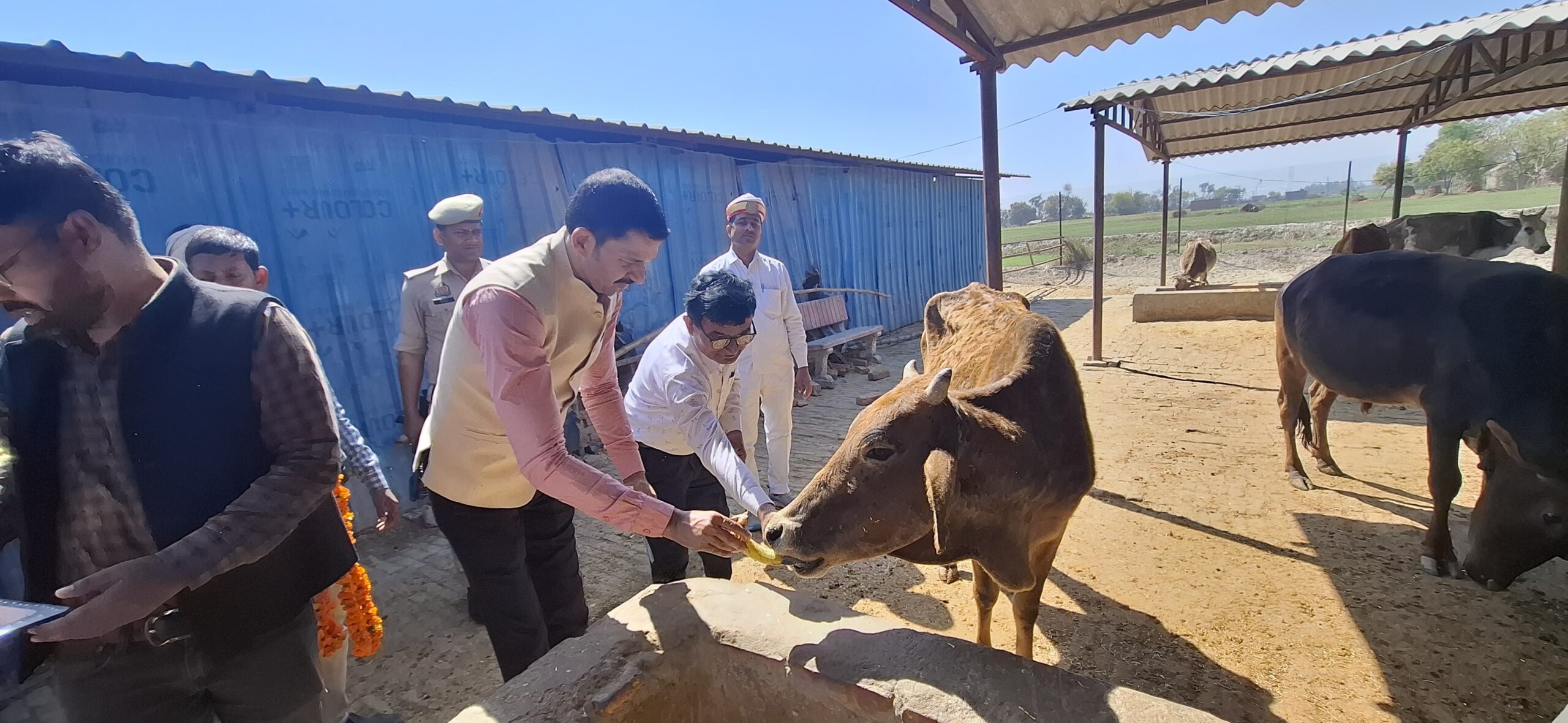 मुख्य विकास अधिकारी ने गोसेवा दिवस पर गो सेवा कार्यक्रम का किया शुभारम्भ