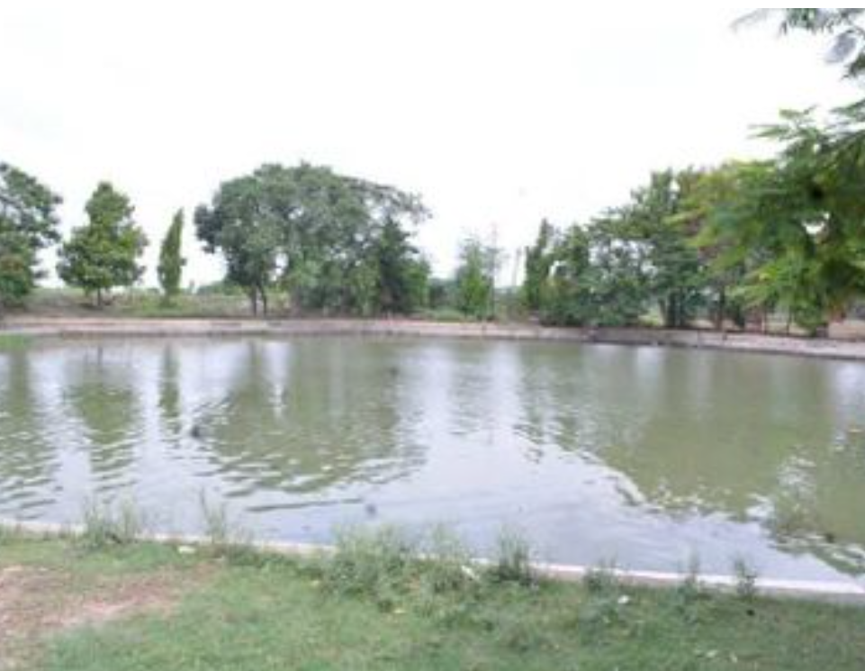 अमृत सरोवर योजना के अंतर्गत दहीरपुर तालाब का होगा सुंदरीकरण