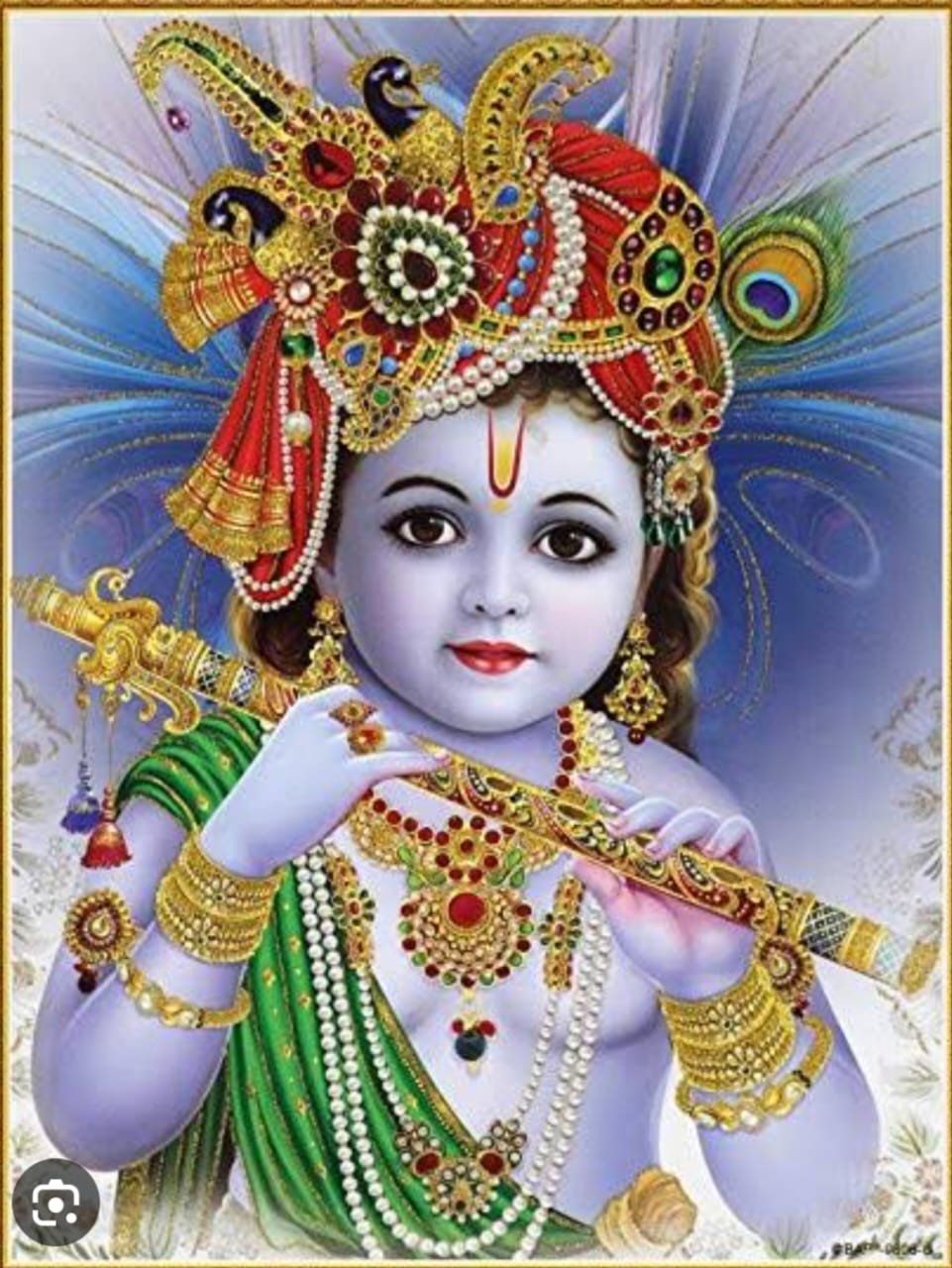 श्री दधिकांदव उत्सव महा सेवा समिति का हुआ गठन