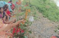 संतान के लंबे उम्र एवं सुख समृद्धि के लिए महिलाओं ने छठ व्रत का किया अनुष्ठान