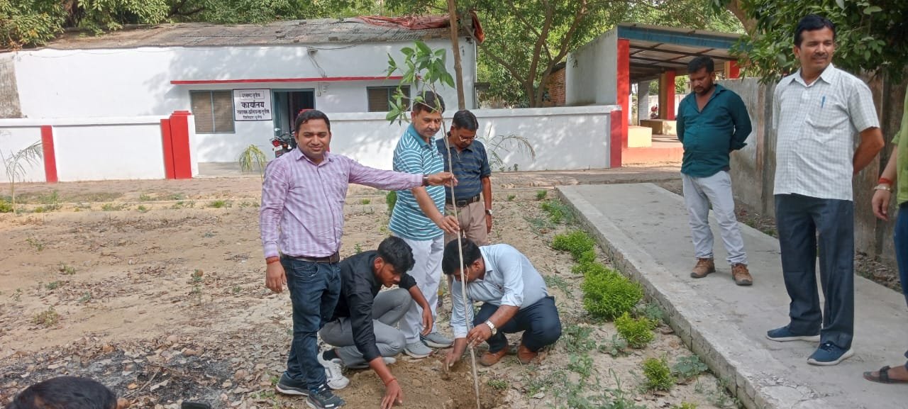 पर्यावरण दिवस पर 5 जून को सिंचाई खण्ड टांडा में किया गया पौधारोपण