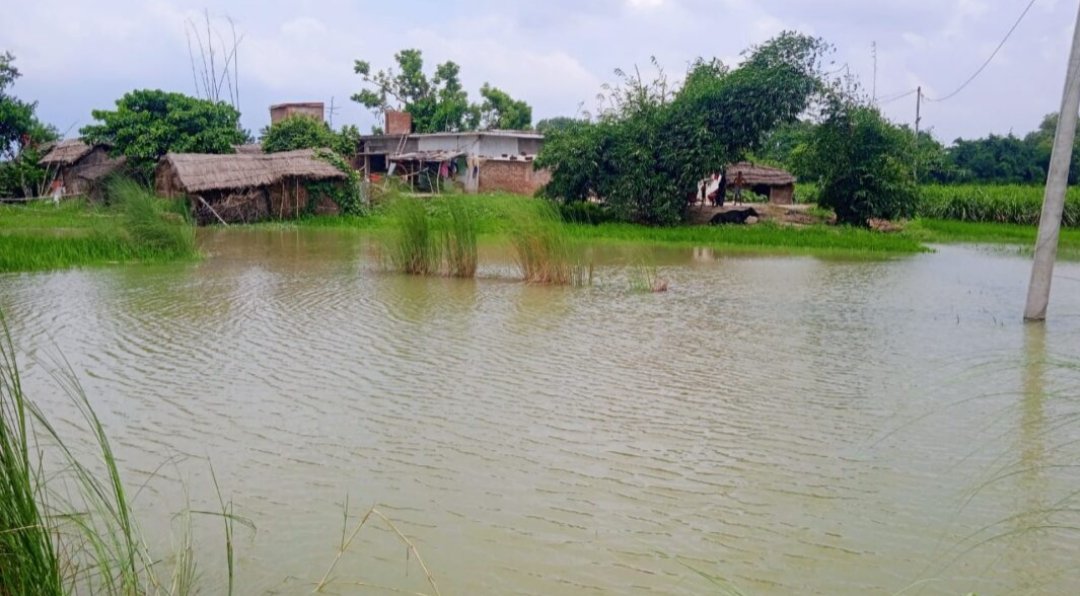 माझा कम्हरिया में कटान होने से गन्ने व धान की फैसले डूबने से किसान व ग्रामीण परेशान 