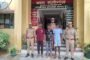 ट्रक की टक्कर से 30 भेड़ों की मौत,एक आदमी हुआ घायल