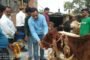 महिला थानाध्यक्ष के प्रयास से 2 वैवाहिक जोड़े के परिवारिक विवाद को सुलझा कर, राज़ी खुशी कराई गई विदाई