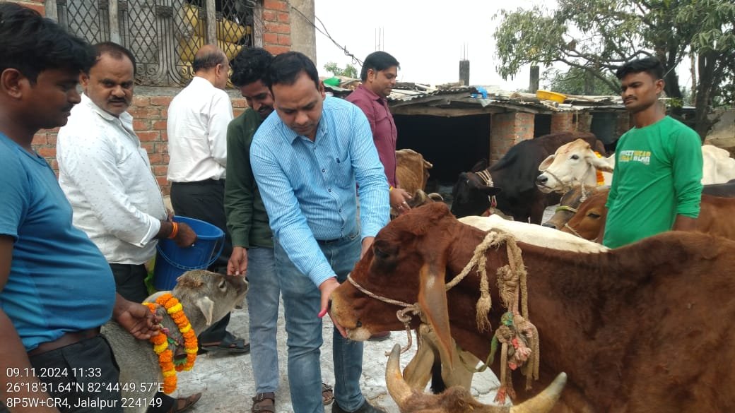 गौशाला में हर्षोल्लास के साथ मनाया गया गोपाष्टमी पर्व
