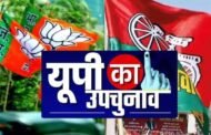 कटेहरी में खिला कमल, साइकिल हुई पंचर,हाथी हुआ धराशायी 