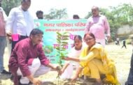 हरियाली से सुसज्जित कर हम पर्यावरण की रक्षा कर रहे हैं- बीना सिंह 