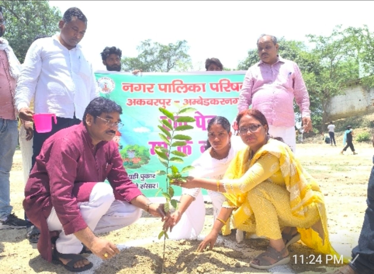 हरियाली से सुसज्जित कर हम पर्यावरण की रक्षा कर रहे हैं- बीना सिंह 