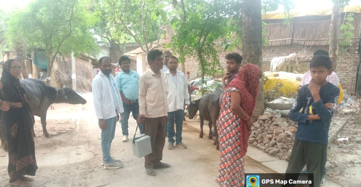 गर्मी एवं बीमारी से पशुओं को कैसे बचायें