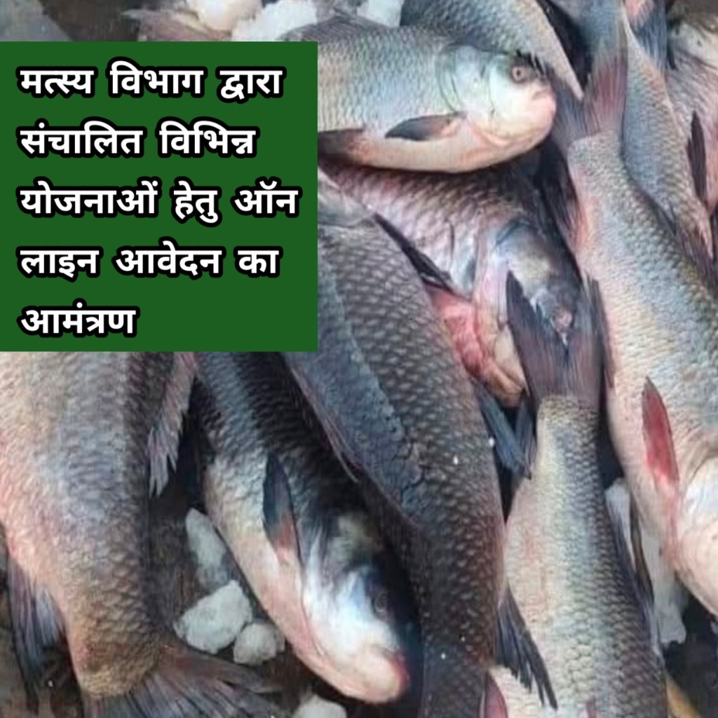 मत्स्य विभाग द्वारा संचालित राज्य सेक्टर की विभिन्न योजनाओं हेतु करें ऑन लाइन आवेदन