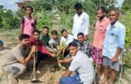 पेंड लगाना आवश्यक है क्योंकि वे आक्सीजन छोडते है,और वायु की गुणवत्ता में सुधार करते हैं...नीरज मौर्य (समाजसेवी)
