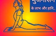 भुजंगासन करने की विधि, फायदे और सावधानियां..