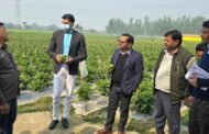 मुख्य विकास अधिकारी ने एकीकृत बागवानी विकास मिशन योजना का किया निरीक्षण