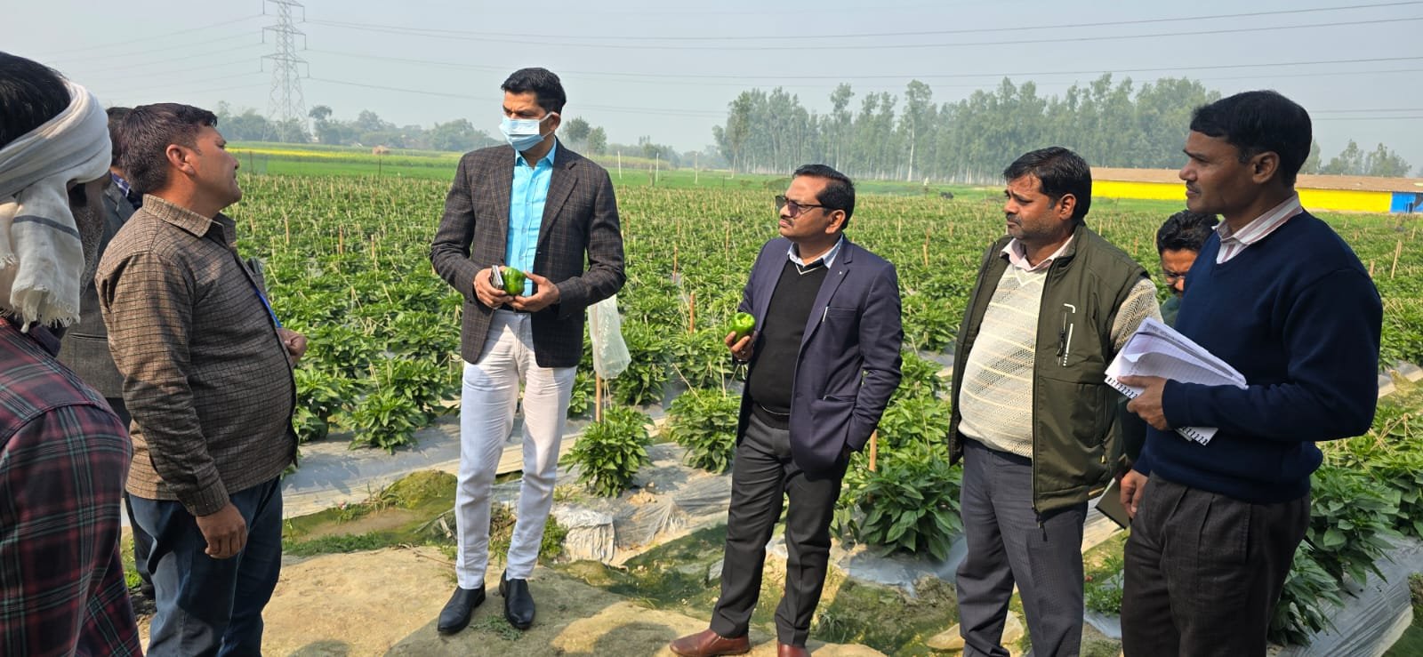 मुख्य विकास अधिकारी ने एकीकृत बागवानी विकास मिशन योजना का किया निरीक्षण 