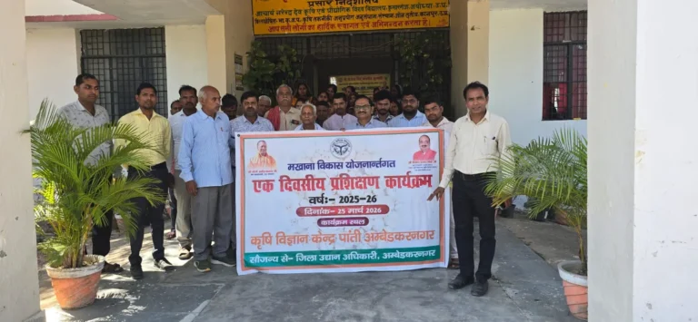 मखाना विकास योजना से किसानों की आय बढ़ाने की दिशा में बड़ा कदम