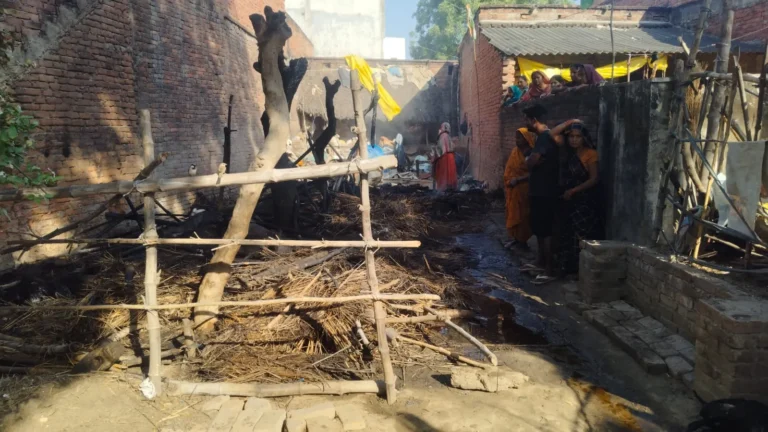 छप्पर में लगी आग मवेशी जलकर राख