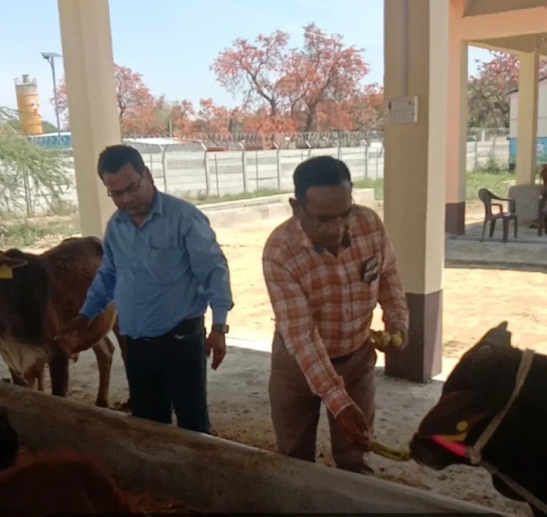 अंबेडकर नगर में विकास खंडवार मनाया गया गो सेवा एवं गो संवर्धन दिवस