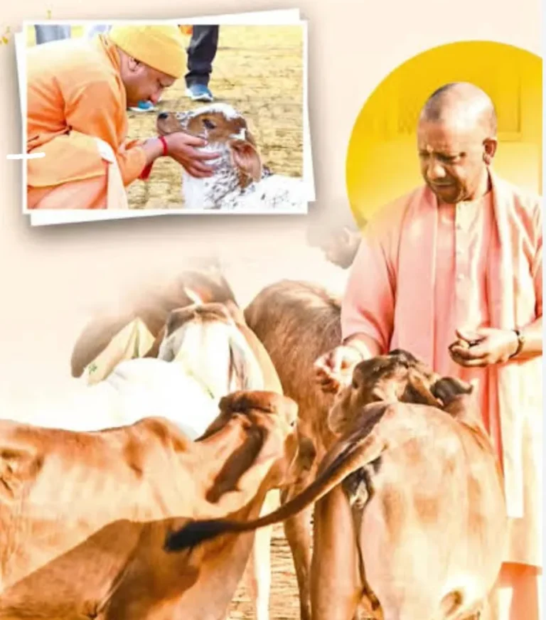 नंद बाबा दुग्ध योजना अंतर्गत गोपालन हेतु सरकार देगी 50 प्रतिशत अनुदान
