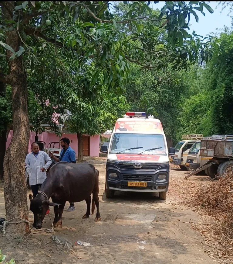 पशुपालकों को अब और बेहतर मिलेगी आकस्मिक पशुचिकित्सा सेवा : जिलाधिकारी