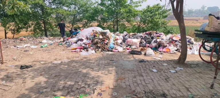 कूड़े का कहर: दुर्गंध ने लोगों का जीवन बना दिया नर्क