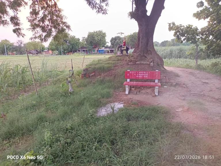 डीह बाबा स्थल पर उगी झाड़ियां, सफाई कर्मी गायब