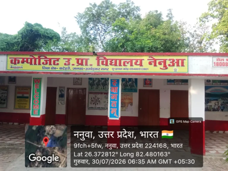 विद्यालय की जर्जर छत पर टिका विशालकाय नीम का पेड़