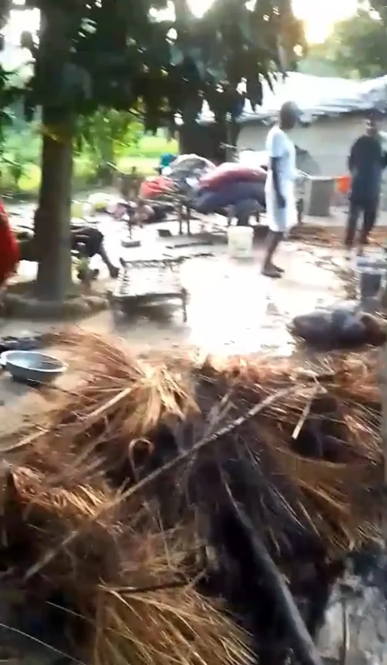 छप्पर में लगी भीषण आग,भैंस और पड़िया झुलसीं, गृहस्थी का सामान राख