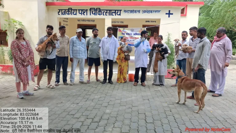 अंतर्राष्ट्रीय रेबीज दिवस पर पालतू एवं निराश्रित कुत्तों का निःशुल्क टीकाकरण
