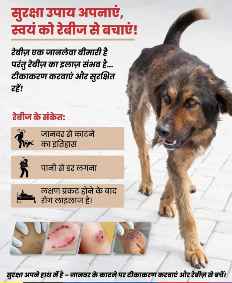अंतर्राष्ट्रीय रेबीज दिवस के अवसर पर कुत्तों का रेबीज टीकाकरण अभियान